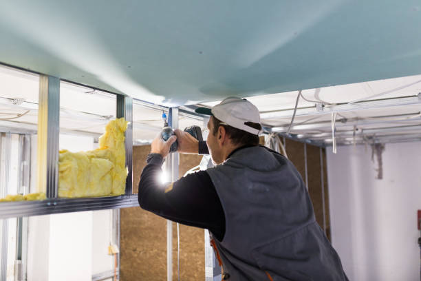 Best Energy-efficient Insulation  in Eatonville, FL