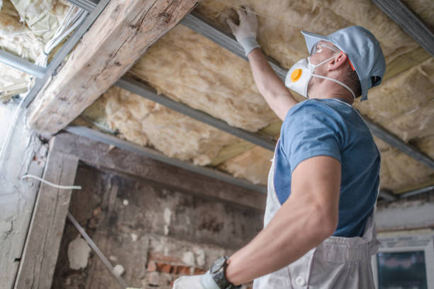 Best Insulation Inspection Services  in Eatonville, FL