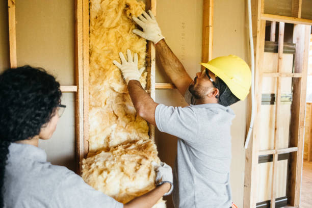 Best Wall Insulation Contractor  in Eatonville, FL