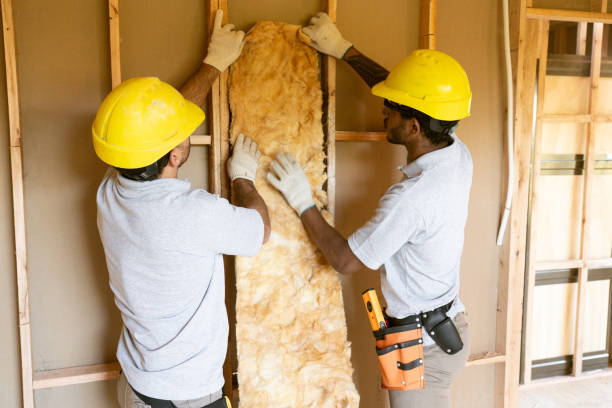 Best Cellulose Insulation  in Eatonville, FL