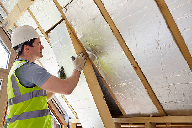 Best Insulation Removal Services  in Eatonville, FL